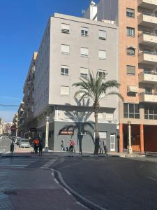 um edifício numa rua da cidade com uma palmeira em Hostal María em Elche