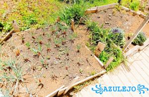 A garden outside AZULEJO
