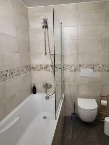 une salle de bain avec douche et toilettes dans l'établissement Two Private Studios - Independent & Fully Equipped, à Ferney-Voltaire 17 autres photos