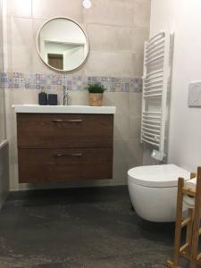 une salle de bain avec un lavabo, des toilettes et un miroir dans l'établissement Two Private Studios - Independent & Fully Equipped, à Ferney-Voltaire