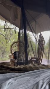 two chairs and a bed in a tent at Out in Africa Wildlife Lodge in Dinokeng Game Reserve
