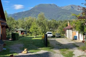 a dog laying in the grass in a yard with a mountain at Apartament la munte in Borşa