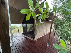 an inside view of a tent on a wooden deck at Out in Africa Wildlife Lodge in Dinokeng Game Reserve