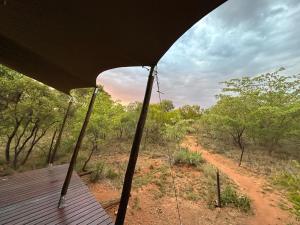 a view from the inside of a safari vehicle of a dirt road at Out in Africa Wildlife Lodge in Dinokeng Game Reserve