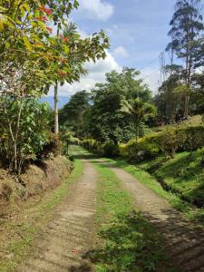 un camino de tierra con árboles a ambos lados en Parque Verde y Agua, en Fusagasuga