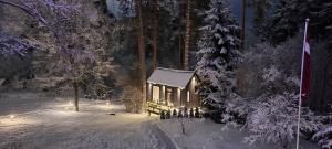 a small cabin with lights in the snow at night at Pine Nook in Ogre