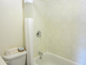 a bathroom with a shower with a tub and a toilet at Bulkley Valley Motel in New Hazelton