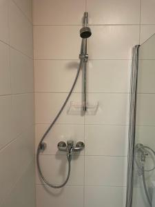 a shower with a shower head in a bathroom at Puuppola Kotikoivu in Matinmäki +12 photos