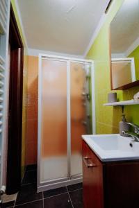 W łazience znajduje się prysznic i umywalka. w obiekcie Villa Andromeda Pelion w mieście Portariá
