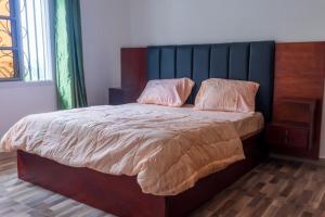 een bed met twee kussens in een slaapkamer bij E&T Resorts in Buea