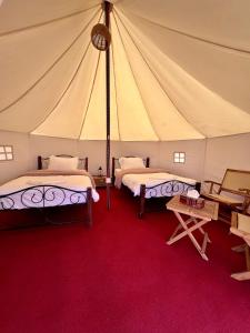 a tent bedroom with two beds and a red carpet at Desert waves camp in Bidiyah