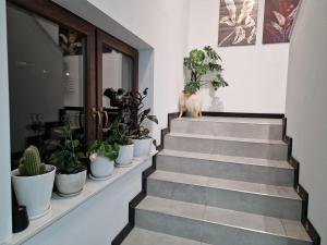 Fotografia z galérie ubytovania Małe Ciche 36j PRZY OSTREWKACH, Widok na góry, Blisko do wyciągu narciarskiego, Idealne miejsce na wypad w góry -tarasówka-zgorzelisko-rusinowa polana-gesia szyja-palenica-wiktorówki-morskie oko v destinácii Murzasichle