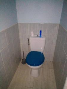 een badkamer met een toilet en een blauwe stoel bij Vachement bien ! 
