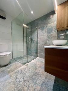 a bathroom with a toilet and a glass shower at Aspiring View Apartments in Wanaka
