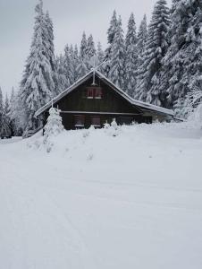 eine Blockhütte im Schnee mit Bäumen in der Unterkunft Chata Matičiar in Martin