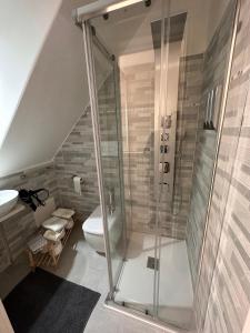 a bathroom with a shower and a toilet at La casa di Stella in Isernia
