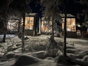 a snow covered yard at night with a building at Villa Auroras Karhu in Syöte