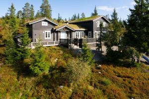uma casa no topo de uma colina com árvores em Løvsangeren 1,5 hour from Oslo - 6 bedrooms - 14 sleeps - Sauna em Nordset