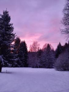 Fritidshus Hammare Hagfors talvel