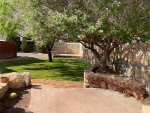 Imagine din galeria proprietății Amazing home with custom-built pool în El Paso