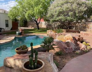 Imagine din galeria proprietății Amazing home with custom-built pool în El Paso