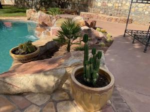 Imagine din galeria proprietății Amazing home with custom-built pool în El Paso