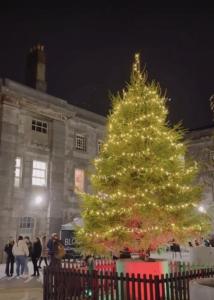 a christmas tree in front of a building at ROYAL WILLIAM YARD Luxury Apartments at "THE BRUCE" - FAMILY APARTMENT and Connecting DELUXE STUDIO - PRIVATE connecting lobby so BOOK BOTH For LARGER GROUPS - FREE ONSITE PARKING in Plymouth