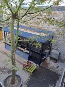 Imagen de la galería de Choco Hostel, en Puebla