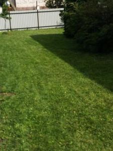 a grass yard with a fence and a shadow on it at Town House in Kėdainiai