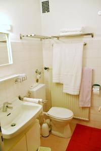 La salle de bains est pourvue de toilettes blanches et d'un lavabo. dans l'établissement Alpenheim, à Garmisch-Partenkirchen