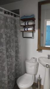 a bathroom with a toilet and a sink and a mirror at JARDIN CAFETERO in Trujillo