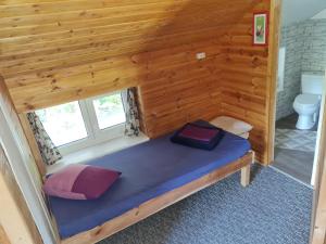 a bed in a wooden room with a toilet at Toma pirts BRĪVDIENU in Ikšķile