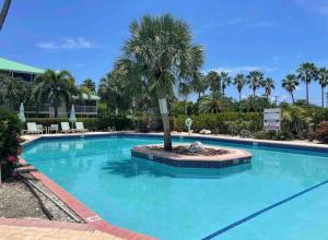 une piscine avec un palmier au milieu dans l'établissement Plantation Village # 64 Seven Mile Beach Fully Renovated Modern 2 Bed 2 Bath, à George Town