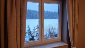 uma janela com vista para um campo coberto de neve em Creating Memories em Titisee-Neustadt
