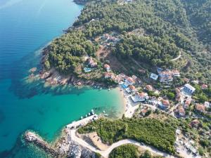 Fotografia z galérie ubytovania Katigiorgis Blue Hotel & SPA v destinácii Agios Georgios