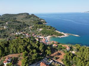 Fotografia z galérie ubytovania Katigiorgis Blue Hotel & SPA v destinácii Agios Georgios