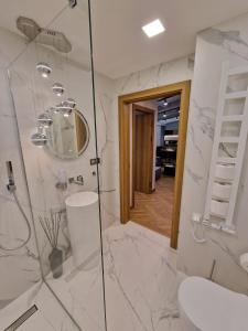 a bathroom with a shower and a toilet at Apartamenty Sebastiana in Kraków
