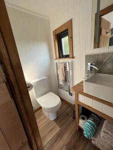a bathroom with a white toilet and a sink at Old Quay Escape in Tenby