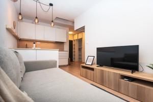 a living room with a flat screen tv and a couch at City Center Apartment - Modern & Elegant in Bratislava