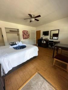 a bedroom with a bed and a ceiling fan at Cambria Palms Motel in Cambria