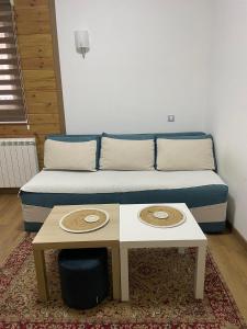 a couch with two tables in a living room at Apartmani Dino Kolasin in Kolašin
