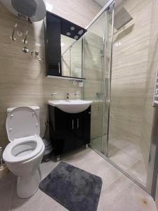 a bathroom with a toilet and a sink and a shower at Apartmani Dino Kolasin in Kolašin