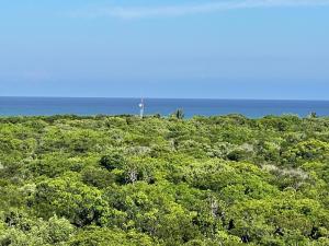 a field of trees with the ocean in the background at Arova Apartments Tulum by Seashore Apartments Cancun in Tulum