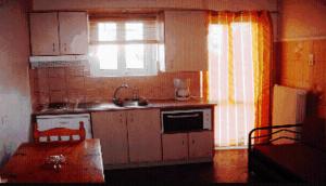 A kitchen or kitchenette at Alexandros Studios & Apartments