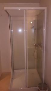 - une cabine de douche en verre dans la salle de bains dans l'établissement Cozy apartment close to nature, Kvaloya., à Kvaløya