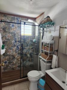 a bathroom with a shower and a toilet at Tropicoco Pool House Steps From The Beach in Puerto Nuevo