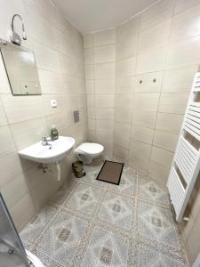 Koupelna v ubytování Apartments Gala Abertamy