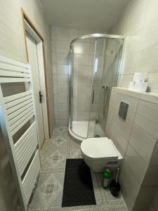 Koupelna v ubytování Apartments Gala Abertamy