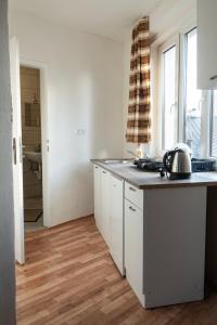 Kuchyň nebo kuchyňský kout v ubytování Apartments Gala Abertamy