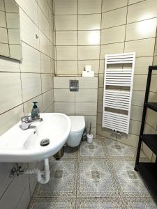 a bathroom with a sink and a toilet at Apartments Gala Abertamy in Abertamy